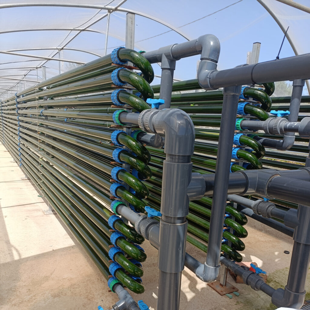 Sistema de tuberías horizontales transparentes llenas de líquido verde oscuro, conectadas a válvulas y conductos grises, en una estructura bajo un invernadero.